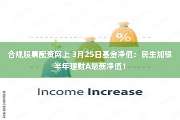 合规股票配资网上 3月25日基金净值：民生加银半年理财A最新净值1