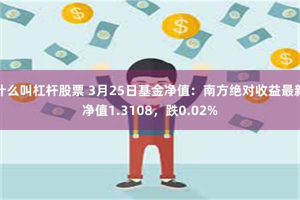 什么叫杠杆股票 3月25日基金净值：南方绝对收益最新净值1.3108，跌0.02%