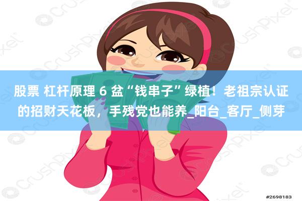 股票 杠杆原理 6 盆“钱串子”绿植！老祖宗认证的招财天花板，手残党也能养_阳台_客厅_侧芽
