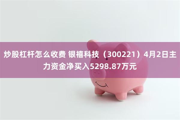 炒股杠杆怎么收费 银禧科技（300221）4月2日主力资金净买入5298.87万元
