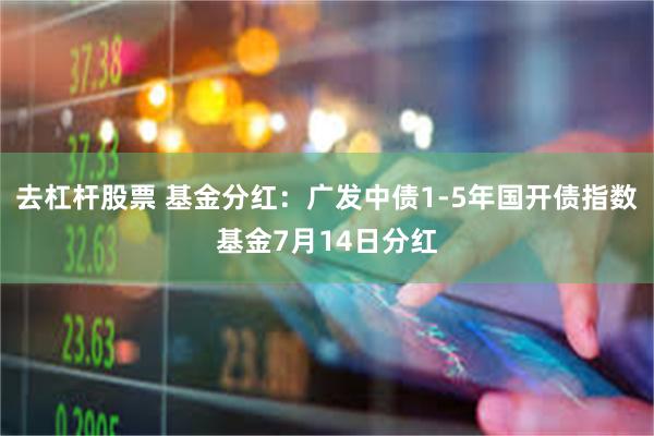 去杠杆股票 基金分红：广发中债1-5年国开债指数基金7月14日分红