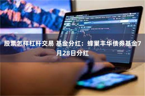 股票怎样杠杆交易 基金分红：蜂巢丰华债券基金7月28日分红