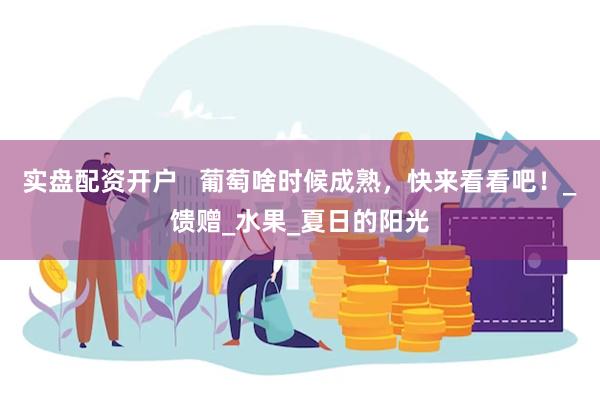 实盘配资开户   葡萄啥时候成熟，快来看看吧！_馈赠_水果_夏日的阳光