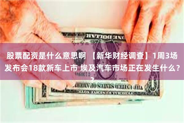 股票配资是什么意思啊 【新华财经调查】1周3场发布会18款新车上市 埃及汽车市场正在发生什么？