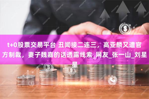 t+0股票交易平台 丑闻接二连三，高亚麟又遭官方制裁，妻子魏嘉的话透露线索_网友_张一山_刘星